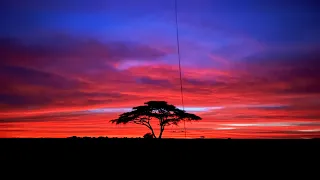 Safari Tour of Serengeti witth Four Seasons