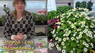 Какие цветы я сею в апреле