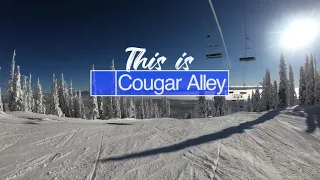 This is Cougar Ally POV at Big White Ski Resort (4k)