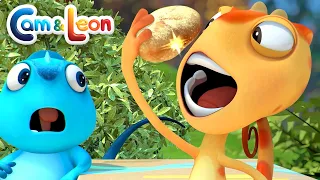 GOLD NUGGET | Cam & Leon | Cartoon for Kids | Funny Cartoon