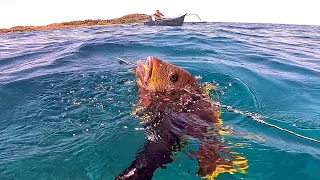 SASHIMI MAORI😋 | SIDELINE at ADVENTURE ng malayo sa isla dahil sa AMIHAN🙌#spearfishingPhilippines