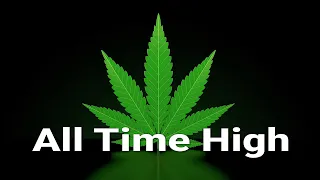 Cannabis Aktien auf All Time High. Wie geht es weiter in 2021?