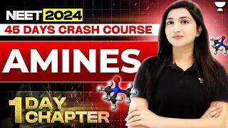 1Day 1 Chapter: Amines | 45 Days Crash Course | NEET 2024 | Akansha Karnwal