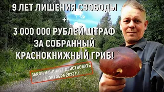 9 лет лишения свободы + 3 000 000 штраф за собранный краснокнижный гриб! Новый Закон с октября!