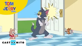 Tom ve Jerry | Misafir Fare | Cartoonito Türkiye