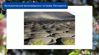 Вулканические виноградники острова Лансароте обзор