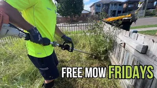 I turned it from the WORST house on the street to the BEST! Free Mow Fridays! #satisfying