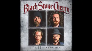In Love With The Pain-Black Stone Cherry