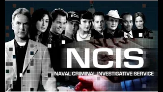 NCIS Cast Then (2003) and Now (2023)