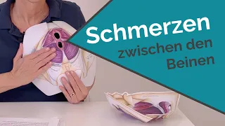 Schmerzen zwischen den Beinen: Schmerzen im Beckenboden