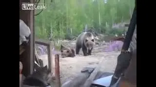 Man Films Final Moments Of His Life Mother Bear Attacks And Kills 3 People