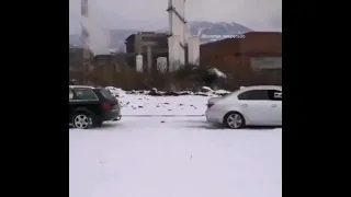 Bmw Xdrive vs Audi Quattro