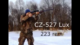 Карабин CZ-527 Lux  223 rem для охоты