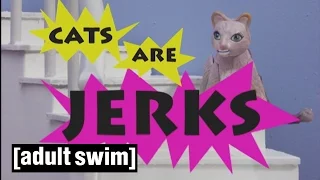 Cats are Jerks 1 and 2 | Robot Chicken | Adult Swim
