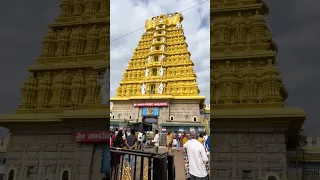 Maa Chamundeswari temple & Chamundi hills | Bangalore to Mysore trip vlog shorts video