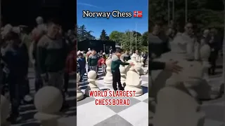 Magnus, Vishy, Anish giri and more chess players on world's largest chess board in Norway.