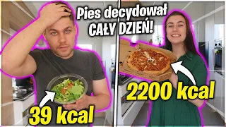 PIES DECYDUJE, ILE KALORII MOŻEMY ZJEŚĆ PRZEZ CAŁY DZIEŃ!