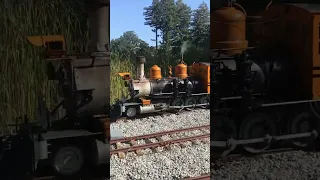 Bumblebee Locomotive #livesteam #narrowgauge #train #steam