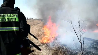 В Приамурье тушат пожары