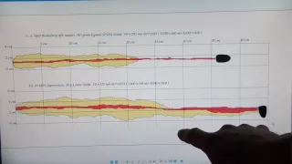 Lorenz bullet vs .58 Minié test in ballistic gelatine