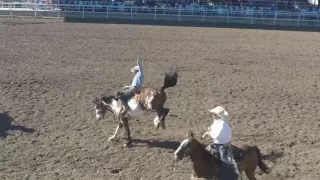 2016 Canadian Rodeo - Saddle Broncs In Slow Motion