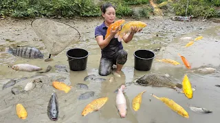 Fish Preservation Process | How to make salty Fish & Smoked Fish year-round preservation | Dailylife