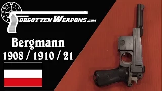 Bergmann 1908, 1910, and 1910/21 Pistols