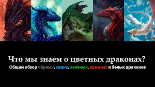 Что мы знаем о цветных драконах?