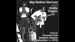 Big Walter Horton & Eddie Taylor - Live in Finland 1976