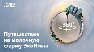 360° Путешествие на молочную ферму «ЭкоНивы» | 8К