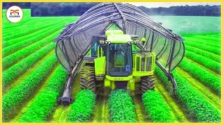 199 The Most Modern Agriculture Machines That Are At Another Level ▶7