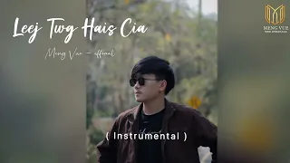 MENG VUE - Leej Twg Hais Cia ( Instrumental )