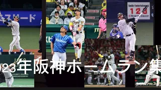 2023年阪神全本塁打集