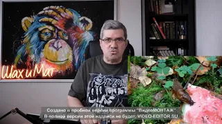 Михаил Шахназаров - Испанские слизни в Эстонии