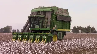 How a John Deere 9986 Makes a Bale of Cotton