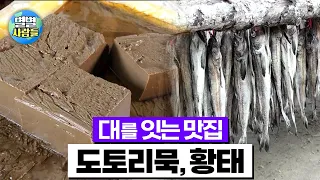 1. 70년 3대 전통 방식으로 만든 소문난  ' 명품 도토리묵' / 2. 겨울 입맛을 잡은 ' 명품 황태 ' [ 별별사람들 14화 - 대를 이은 소문난 맛집 ]