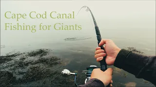 Fishing the Cape Cod Canal on a foggy morning for blitzing Striped Bass