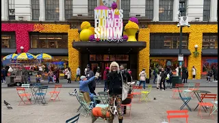 NYC LIVE Macy’s Flower Show Opening Day Herald Square New York City March 27, 2022