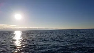 утро в Баренцевом море