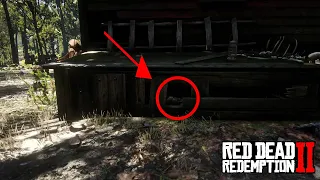 Horrifying Details of Butcher Creek in Red Dead Redemption 2