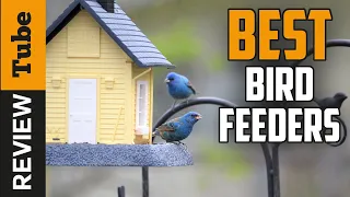 ✅ Bird Feeder: Best Bird Feeders 2021 (Buying Guide)