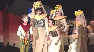 Discovery's Lion King Jr.