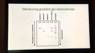 Weblecture DGGE; heteroduplex analysis