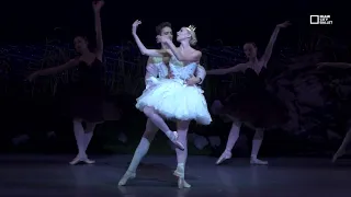 Alexei Ratmansky's Swan Lake (2024)