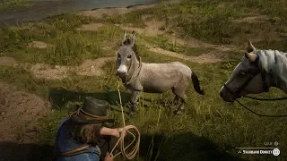 Red Dead Redemption 2 - Riding on a donkey to Saint Denis