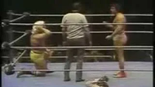 Flair's debut at MSG Part 1