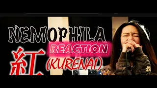 X JAPAN / 紅(KURENAI) English Version [Cover by NEMOPHILA] REACTION #nemophilareaction #nemophila