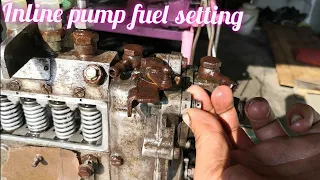 Diesel pump fuel setting