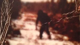 BIZARRE BIGFOOT PHOTO DISCOVERED - (NEVER BEFORE SEEN) - Mountain Beast Mysteries Episode 51.