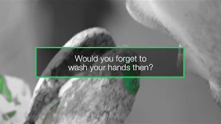 Hand hygiene - What if bacteria were green